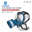 海固HG-800D P-B-3無(wú)機(jī)氣體綜合防毒面具