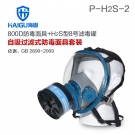 海固HG-800D P-H2S-2硫化氫活性炭防毒面具