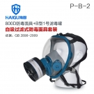 海固HG-800D P-B-2無(wú)機(jī)氣體綜合防毒面具