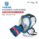 海固HG-800 P-Hg-3全面罩水銀防毒面具 海固HG-800 P-Hg-3全面罩水銀防毒面具