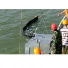 新絡(luò)DXS100動態(tài)斜面收油機