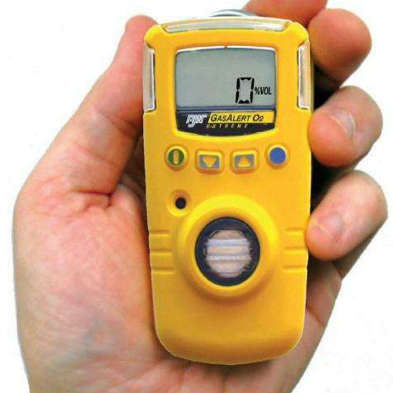 BW GAXT-S-DL便攜式單一二氧化硫氣體檢測(cè)儀圖片3